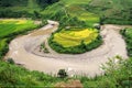 River curve irrigation and Rice fields terraced in vietnam Royalty Free Stock Photo