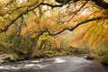 River Dart