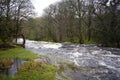 River Dart, Dartmoor national Park, Devon Royalty Free Stock Photo