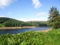 River Dart in Fairholme Royalty Free Stock Photo