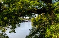 River dart from Greenways