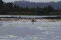 River at dawn and the silhouette of a fisherman in a boat in the distance. The reflection of the sky in the water. Background, ple Royalty Free Stock Photo