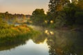 River at dawn Royalty Free Stock Photo