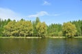 River and deciduous woodlands. Birch grove by the lake. Green herbs. sky Royalty Free Stock Photo