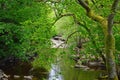 The River Dee in Dentdale, Yorkshire Dales