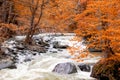 River deep in mountain forest Royalty Free Stock Photo