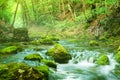 River deep in mountain forest. Royalty Free Stock Photo