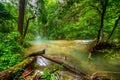 River deep in mountain forest Royalty Free Stock Photo