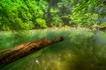 River deep in mountain forest Royalty Free Stock Photo