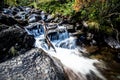 River deep in mountain forest. Nature composition Royalty Free Stock Photo