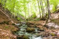 River deep in mountain forest Royalty Free Stock Photo