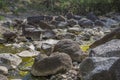 River deep in mountain forest Royalty Free Stock Photo