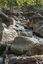 River deep in mountain forest Royalty Free Stock Photo