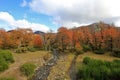 The river divides, one to the Pacific, the other to the Atlantic, Arroyo Partido, Argentina Royalty Free Stock Photo