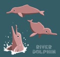 River Dolphin Cartoon Vector Illustration