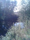 River Don with trees and vegitation