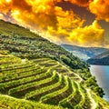 River Douro region at sunrise Royalty Free Stock Photo