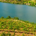 River Douro Royalty Free Stock Photo