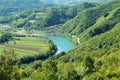 River drina in the mountains of tara,serbia