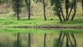 River Drina - Serbia and Bosnia and Hercegovina borderline