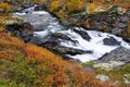 The river driva in autumn, dovrefjell, norway Royalty Free Stock Photo