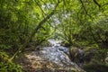 River in jungle of Panama Royalty Free Stock Photo