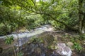 River in jungle of Panama Royalty Free Stock Photo