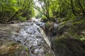 River in jungle of Panama Royalty Free Stock Photo