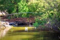 River with ducks in Istron village, Crete. Royalty Free Stock Photo