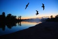 River dusk landscape with gulls Royalty Free Stock Photo