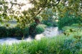 A river in the early morning in Waikato, New Zealand