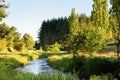 A river in the early morning in Waikato, New Zealand