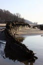 River Elbe with ancient ship wreck