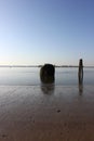 River Elbe with ancient ship wreck