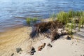 River Elbe near Magdeburg Royalty Free Stock Photo