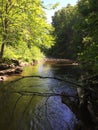 River in Enchanted Forest of Canada, Summer, Nature, Magical Light, Trees Royalty Free Stock Photo