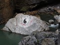 The river in Enshi China Grand Canyon with Taoism Symbol on the