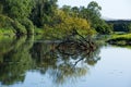 River Erne in Co. Cavan, Ireland Royalty Free Stock Photo