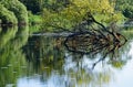 River Erne in Co. Cavan, Ireland