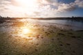 A river estuary at low tide with the bright sun reflecting on the mus and water. Royalty Free Stock Photo
