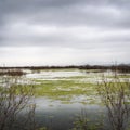 River of Evros in Autumn