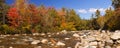 River through fall foliage, Swift River, New Hampshire, USA Royalty Free Stock Photo