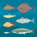 river fish. Set of freshwater sea cartoon fishes. Fauna ocean vector illustration Royalty Free Stock Photo