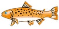 River fish trout Royalty Free Stock Photo