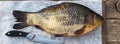 River fish on a wooden background.Large fresh golden carp on a kitchen board ready to be scaled