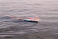 River fishing boat sunk in the river. Sunken boat in dirty water. Vintage old colorful wooden boat sunk in the harbor.