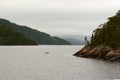 River with fjords on cloudy day