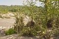 River flood debris