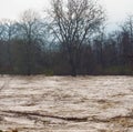 River flood inundation Royalty Free Stock Photo