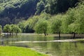 River flood in the spring valley of Cerna river Royalty Free Stock Photo